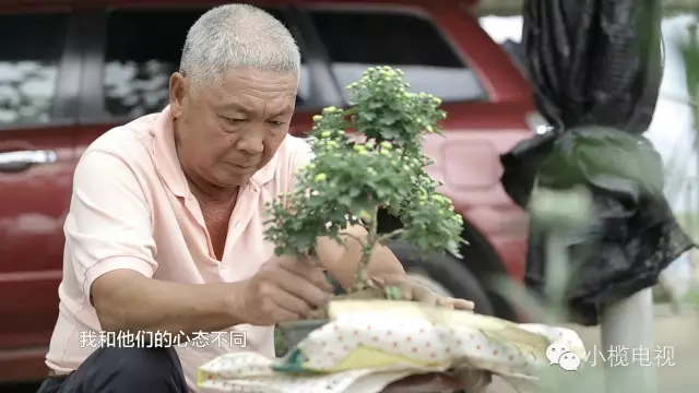 平凡小榄人