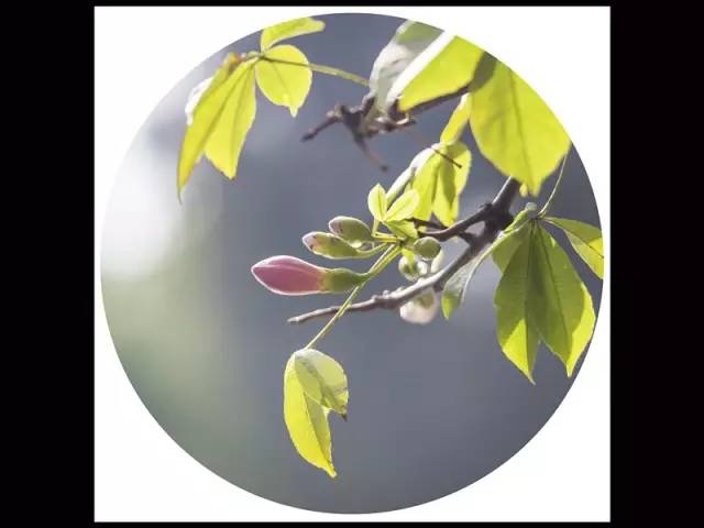 c0323de585e230f0d1d3d6a1aa9d90de.jpg