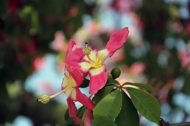 dd6b19eadaea06d5ea0b729377449f61.jpg