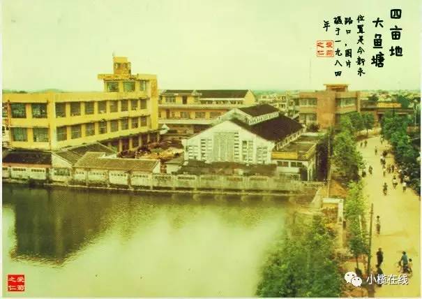 ec30a8a73f263c3e5195da46c38503a1.jpg