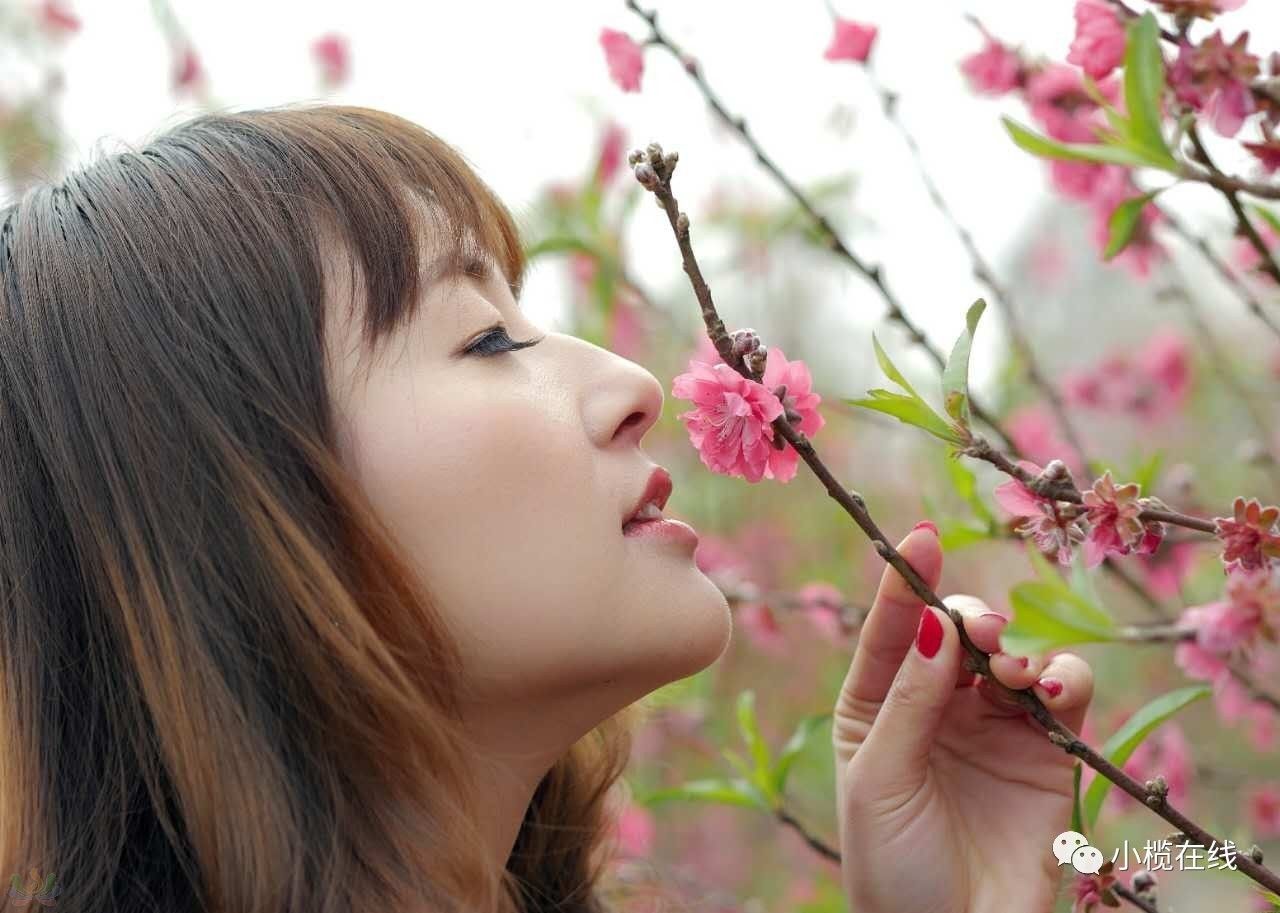 8f924ff03d462cb9b2ae32dfde2834fb.jpg