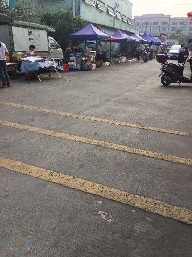 04D0D830-D353-4B22-83EF-8C3C9D67DD7C.jpeg
