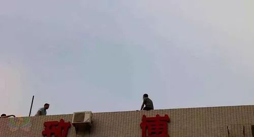 d44239e1fd12a4fb432e6aa871801bb6.jpg