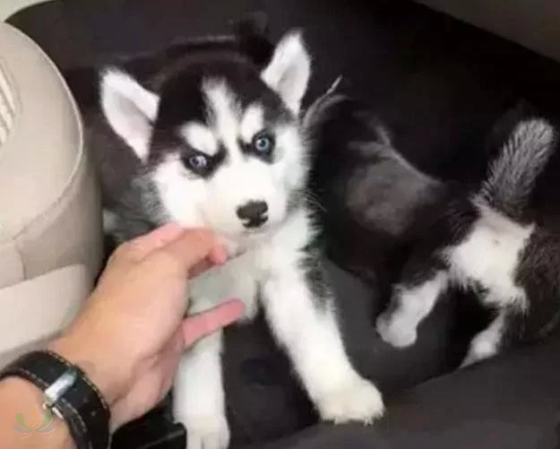 微信图片_20180316194539.png