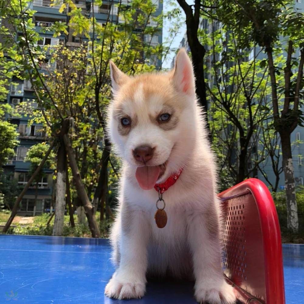微信图片_20180505111437.jpg