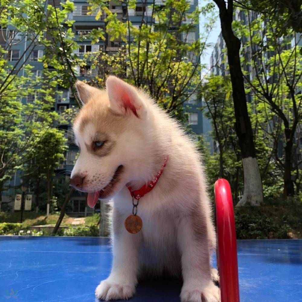 微信图片_20180505111434.jpg