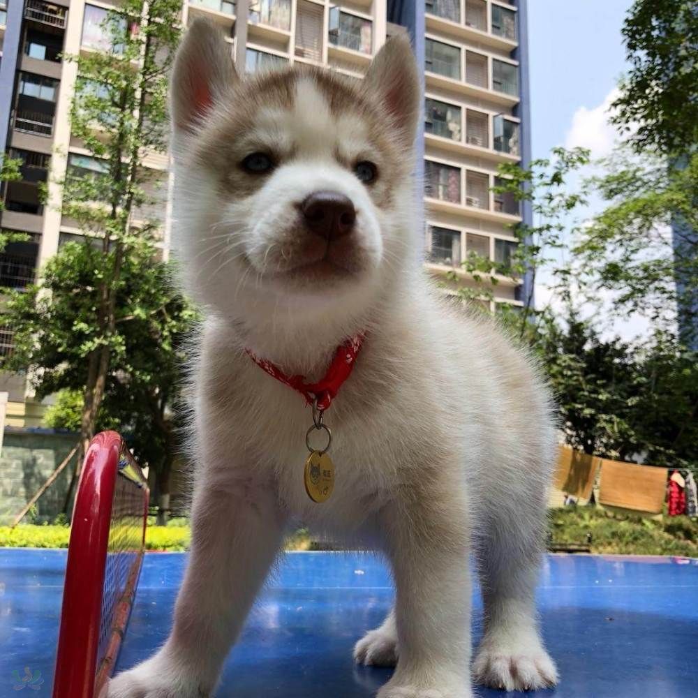 微信图片_20180505111447.jpg