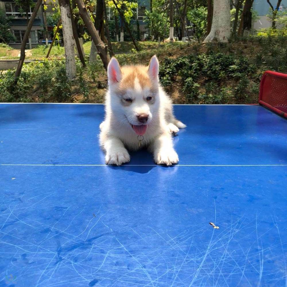 微信图片_20180505111442.jpg