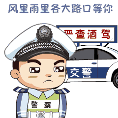 993c7428da1455c608619388490efbd6.gif