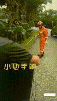 295313c5aedcdfa1a5268850967a0b22.gif