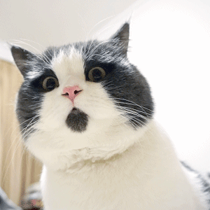 c75473de87f167d90c408bd0db0af759.gif