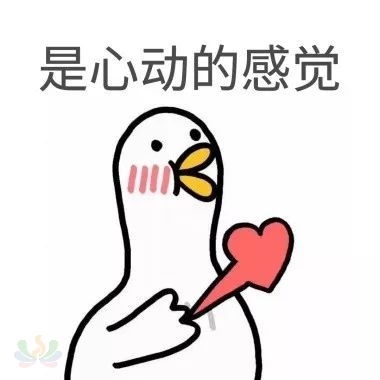 ad7f680423be39be164ba6726abbbe7d.jpg
