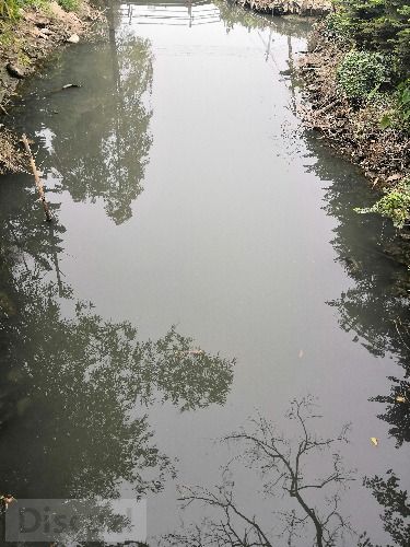 IMG_20191229_162918.jpg