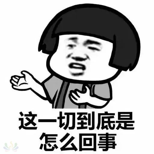 78b23844ea624162ca21757e35ea6c45.jpg